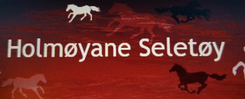 Logo Holmøyane
