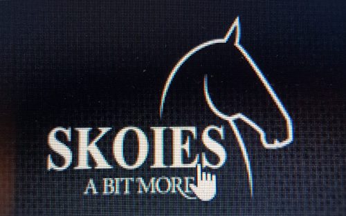 Logo Skoies