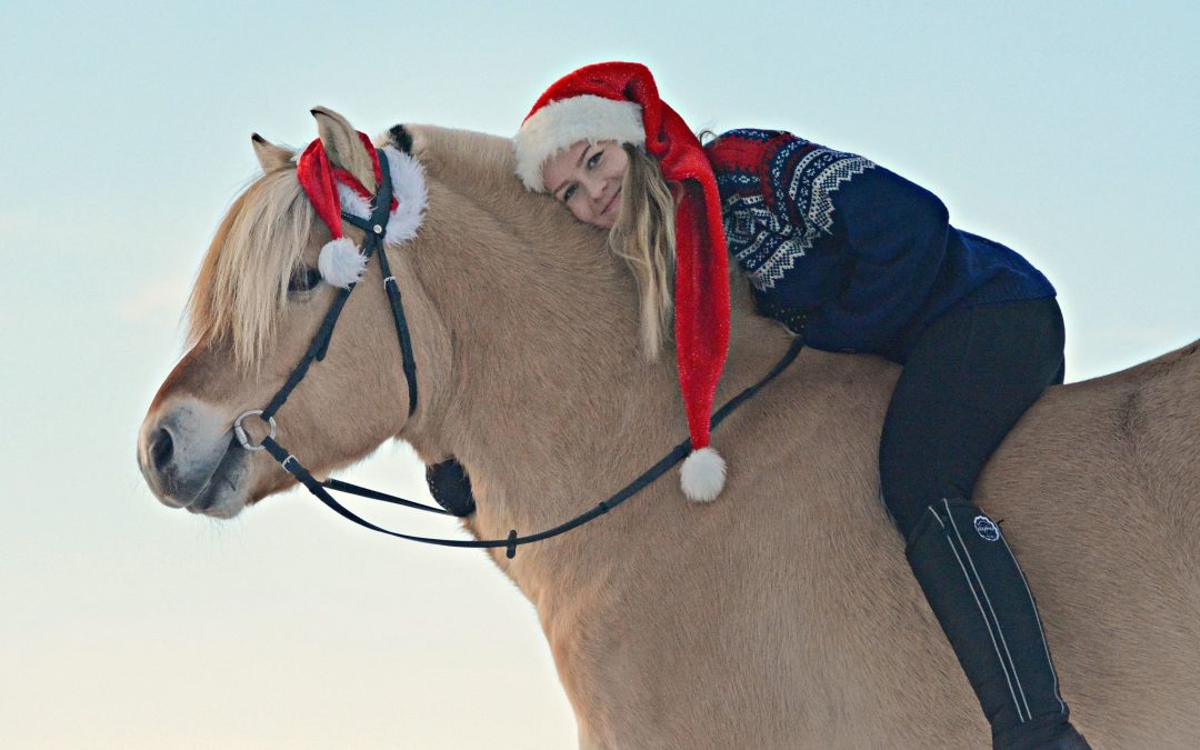 Julehelsing frå Norges Fjordhestlag