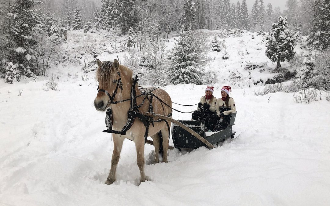 Julehelsing frå Norges Fjordhestlag og Norsk Fjordhestsenter
