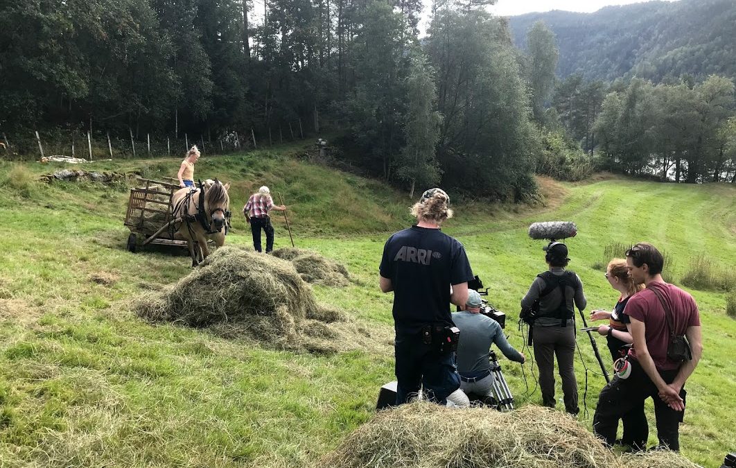 Fjordhest på filmoppdrag 