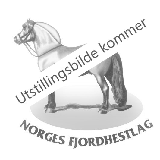 LOGO NFL (2)
