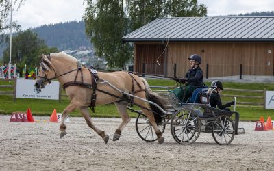 Høyringsbrev: Endring i BUF-statuttar