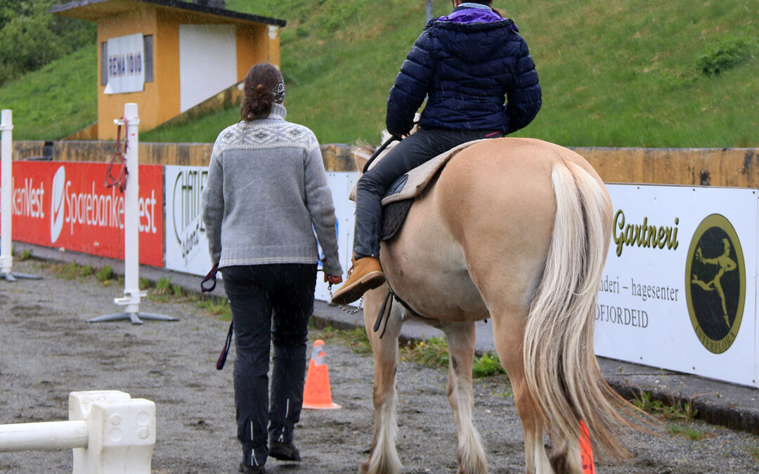 Aktivitetar med Barnas Fjordhestlag under hingsteutstillinga
