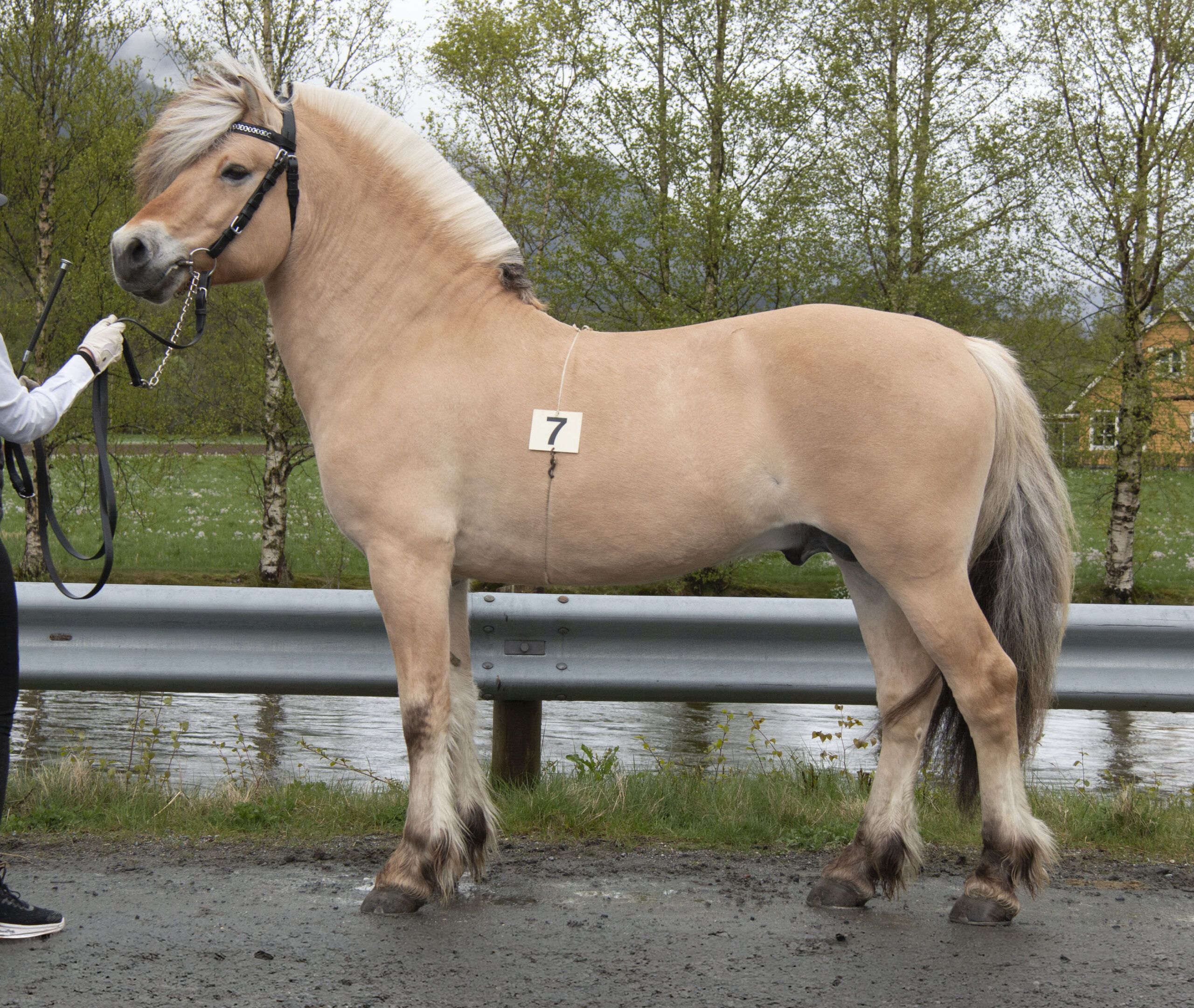 07_SkogheimsIgor_IMG_9940