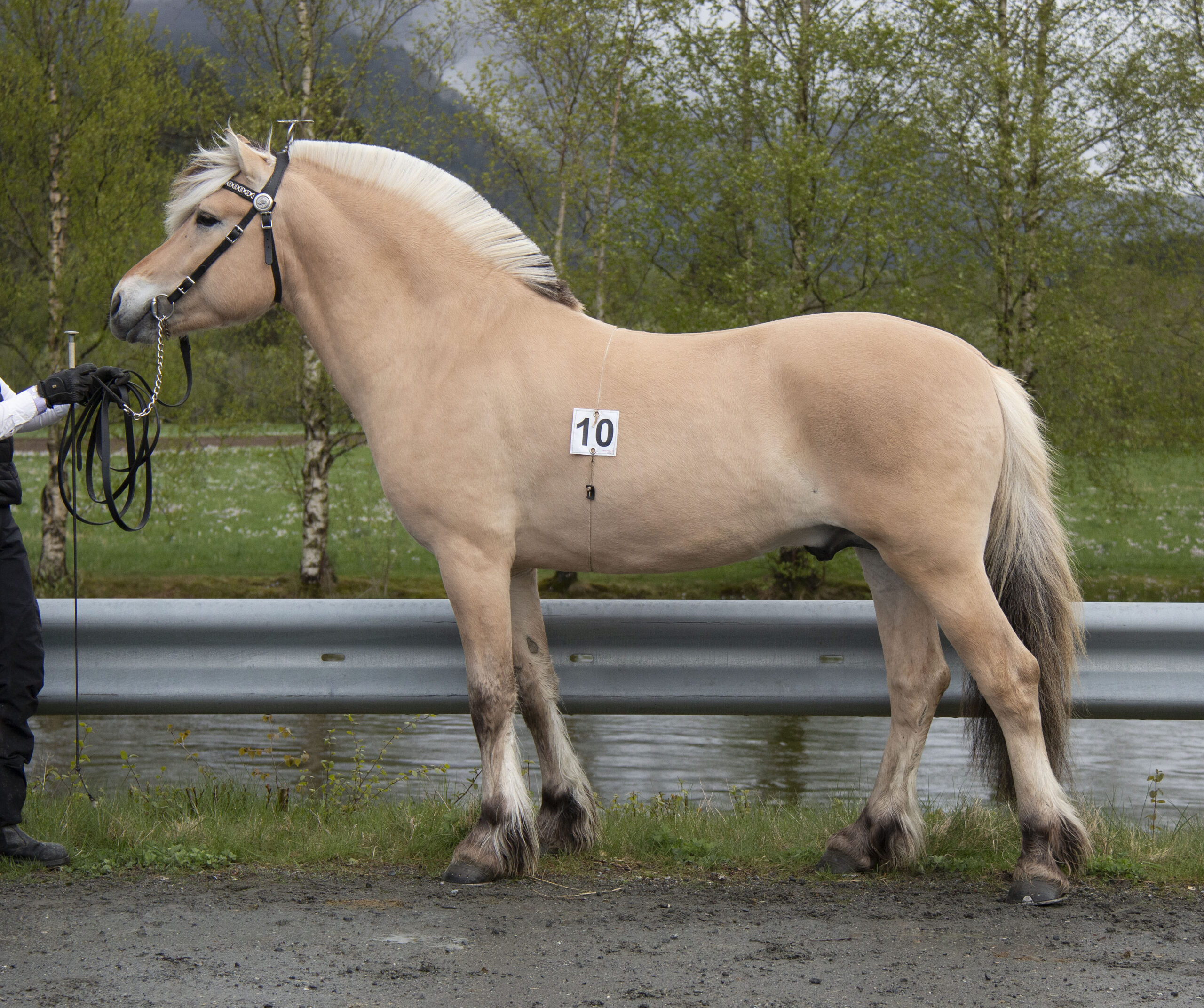 10_Kleivenes Einar_IMG_0158