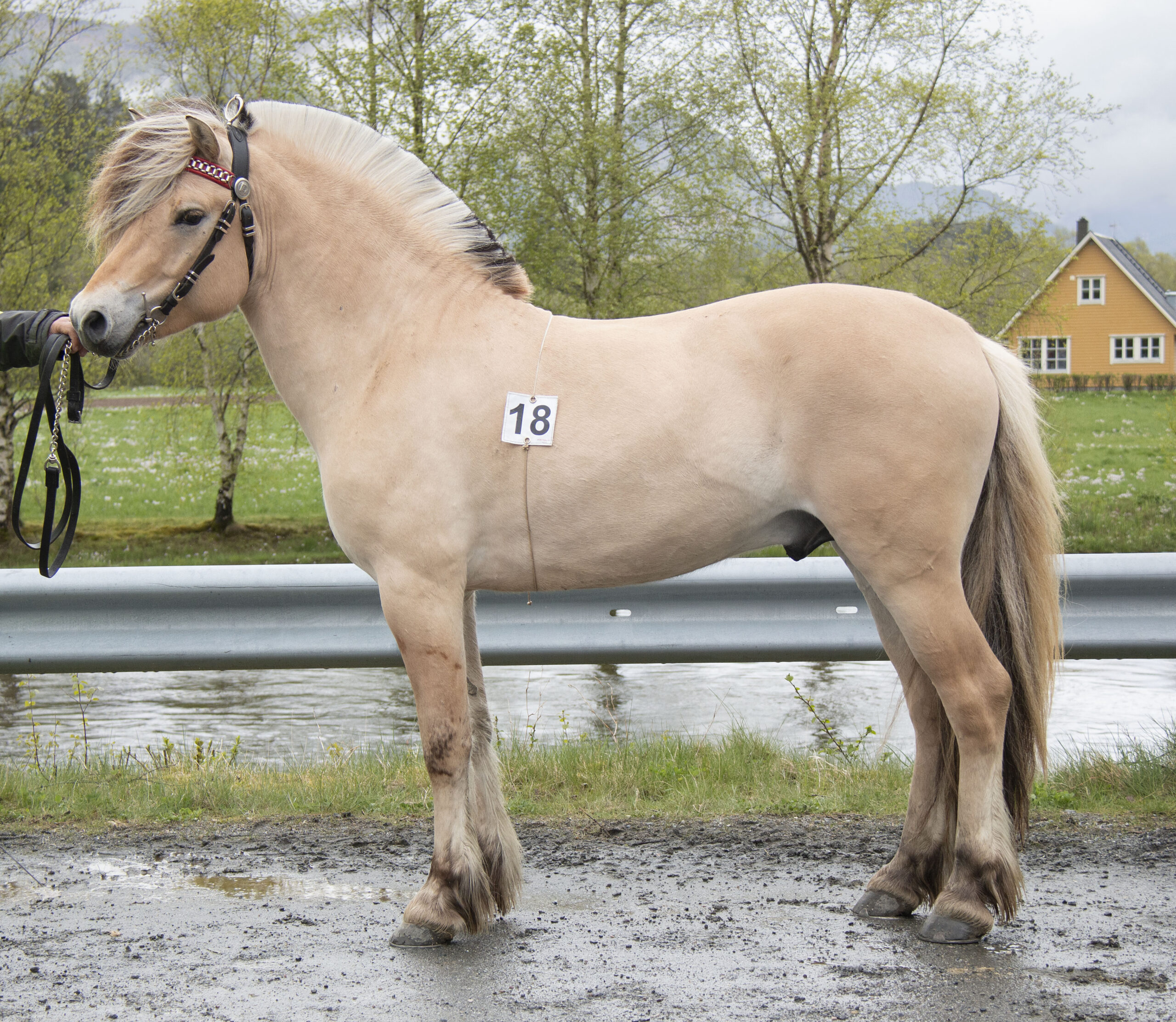 18_BirkelidOberst_IMG_0685