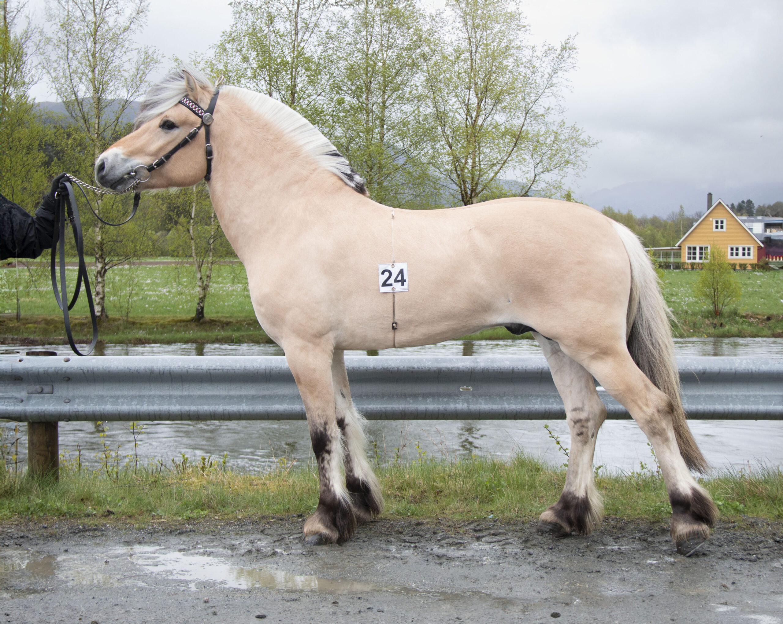 24_FjølestadOdin_IMG_9627