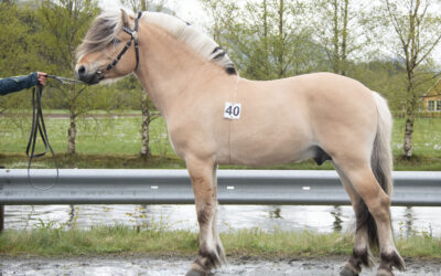 Endringar i avlsplanen frå 2026