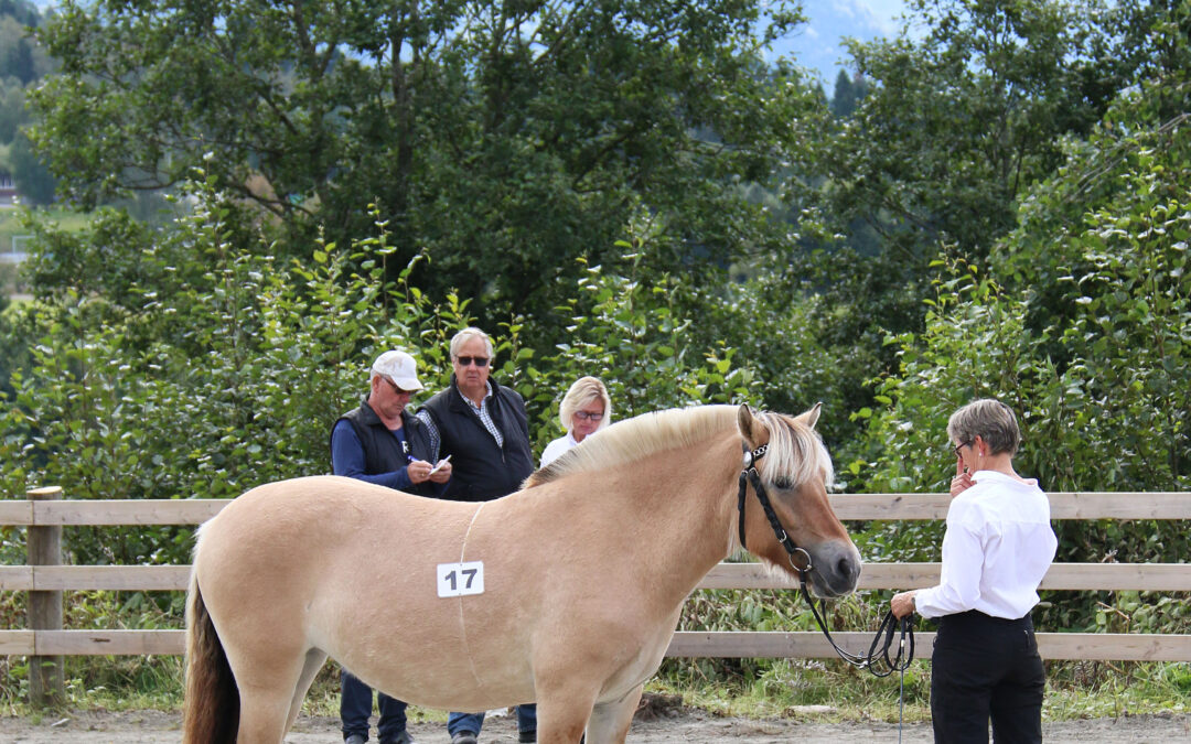 Invitasjon til jubileumsutstilling og landsfinale for unghopper – Ørsta 29.-30. august