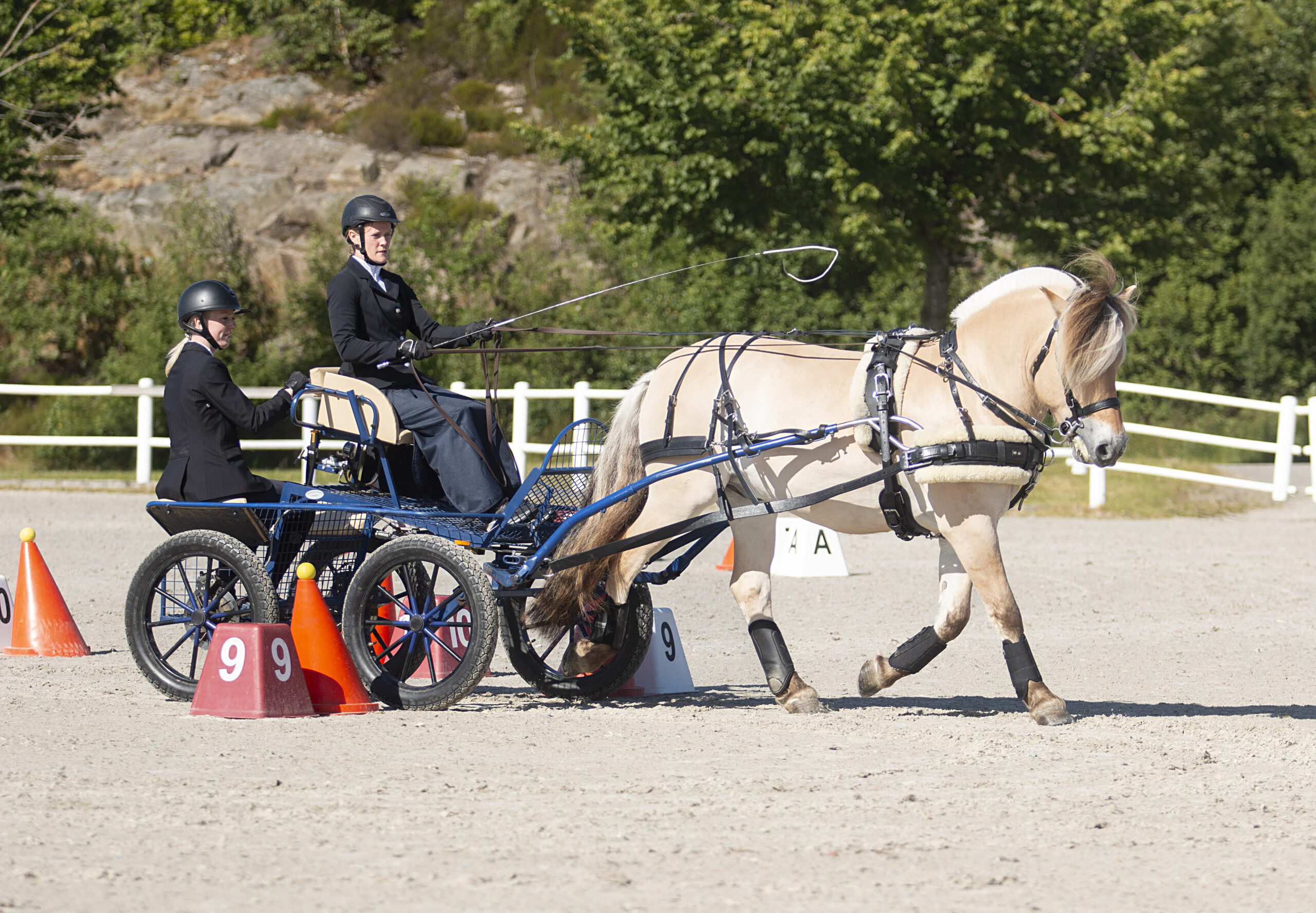 Tine Veiby Jarli og Dalens Oliver