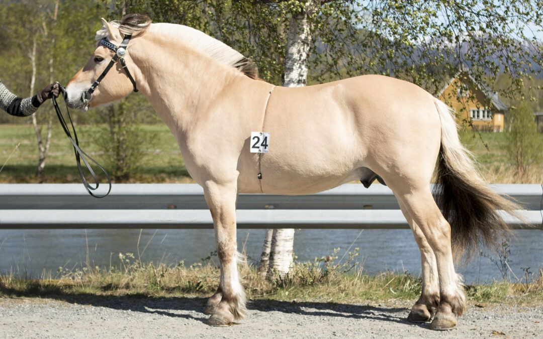 Eikeli Sander
